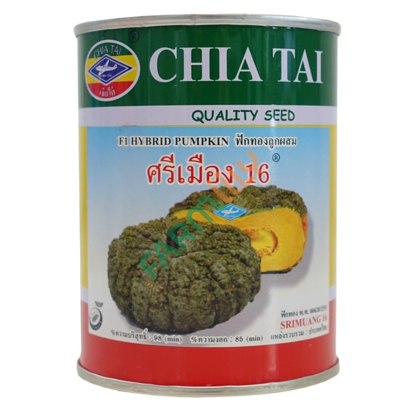 ฟักทอง ศรีเมือง 16 ตราเครื่องบิน เจียไต๋ ขนาด 100 กรัม (กระป๋อง)