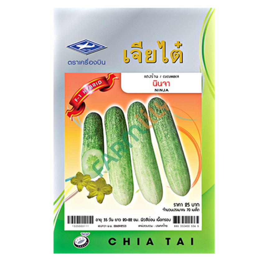 แตงกวานินจา 179 ตราเครื่องบิน เจียไต๋ (ซอง)