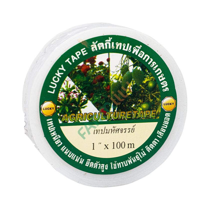 เทปพันกิ่งไม้ 1 นิ้ว LUCKY TAPE