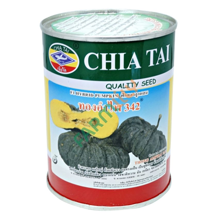 ฟักทอง ทองอำไพ 342 ตราเครื่องบิน เจียไต๋ ขนาด 100 ก. (กระป๋อง)