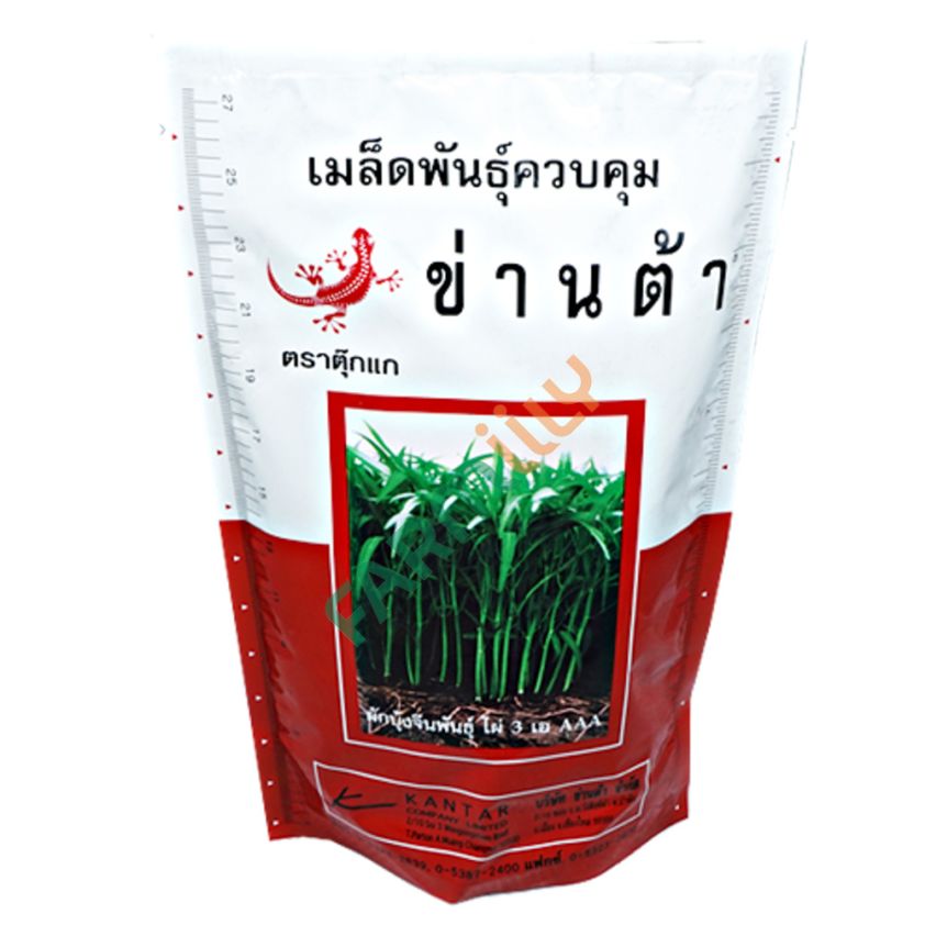 ผักบุ้งไผ่ 3A ตราตุ๊กแก ขนาด 1000 ก. (ถุง)