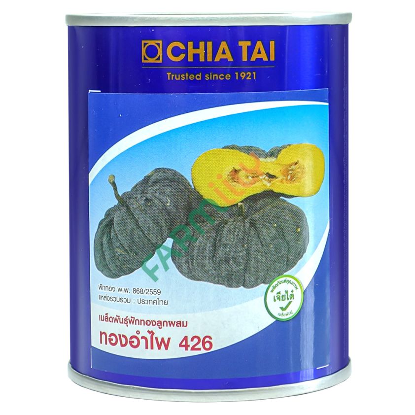 ฟักทอง ทองอำไพ 426 ตราเครื่องบิน เจียไต๋ ขนาด 100 ก. (กระป๋อง)