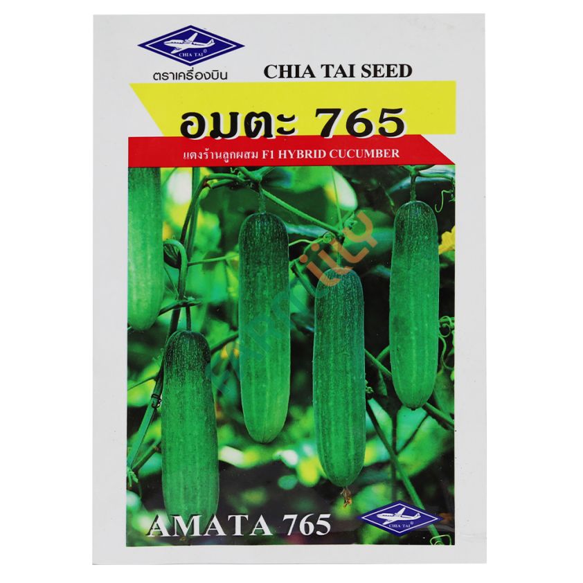 แตงกวาอมตะ 765 ตราเครื่องบิน เจียไต๋ ขนาด 10 กรัม (ซอง)