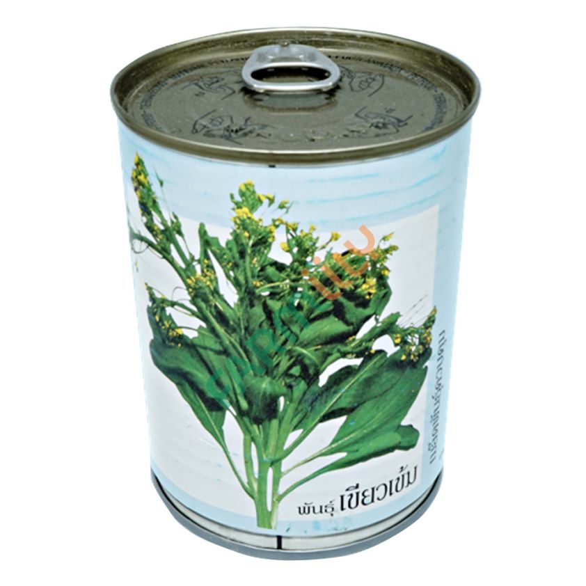 ผักกาดจ้อนเขียวเข้ม ตราลูกโลก ขนาด 80 ก. (กระป๋อง)