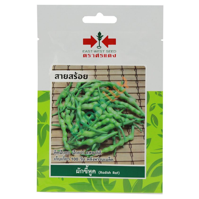 ผักขี้หูด สายสร้อย ตราศรแดง ปริมาณ 100 เมล็ด (ซอง)