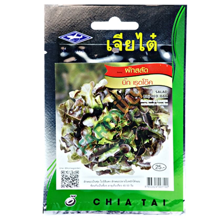 ผักสลัด บิ๊ก เรดโอ๊ค ตราเครื่องบิน เจียไต๋ ขนาด 0.5 ก. (ซอง)