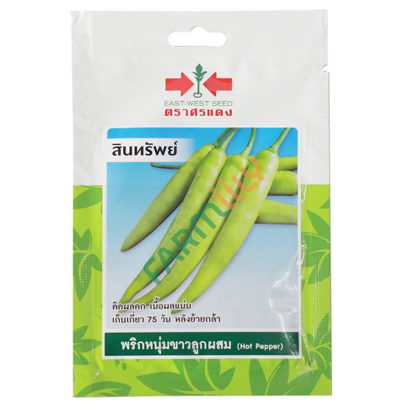 พริกหนุ่มขาวลูกผสม พันธุ์สินทรัพย์ ตราศรแดง ปริมาณ 40 เมล็ด (ซอง)