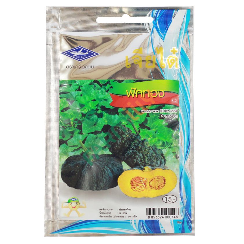 ฟักทอง ตราเครื่องบิน เจียไต๋ ขนาด 3 กรัม (ซอง)