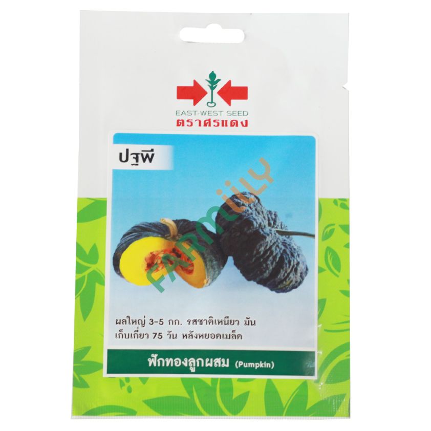 ฟักทองลูกผสม พันธุ์ปฐพี ตราศรแดง ปริมาณ 10 เมล็ด (ซอง)