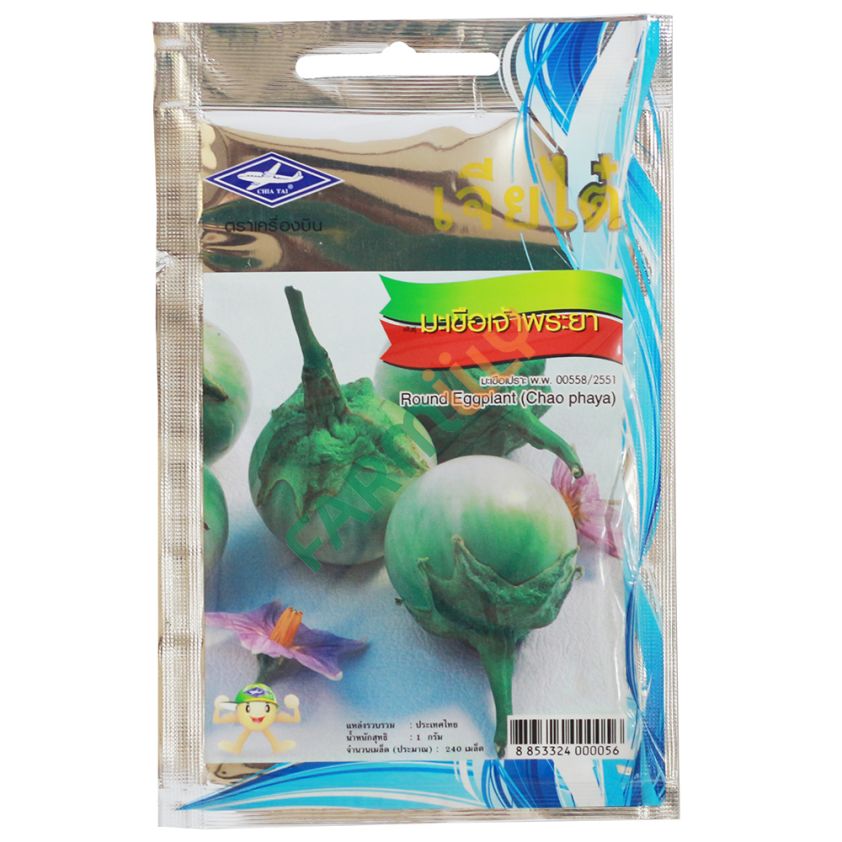 มะเขือเจ้าพระยา ตราเครื่องบิน เจียไต๋ ขนาด 1 กรัม (ซอง)
