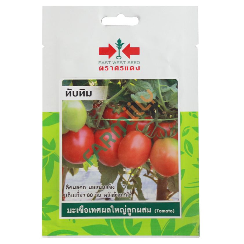มะเขือเทศผลใหญ่ลูกผสม พันธุ์ทับทิม ตราศรแดง ปริมาณ 40 เมล็ด (ซอง)มะเขือเทศผลใหญ่ลูกผสม พันธุ์ทับทิม ตราศรแดง ปริมาณ 40 เมล็ด (ซอง)