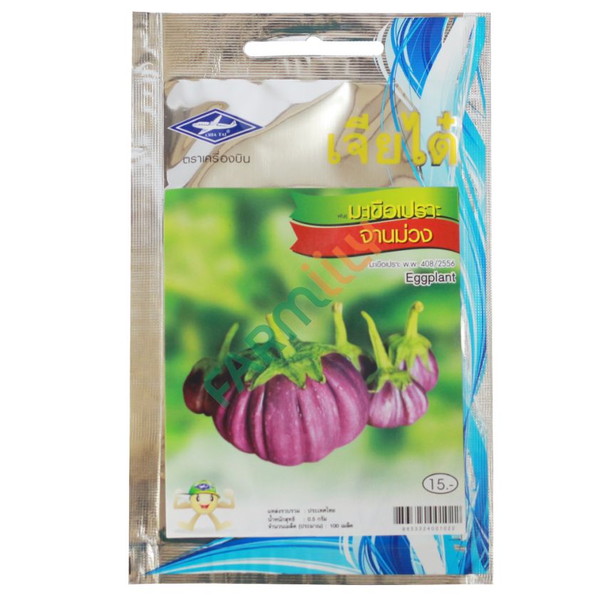 มะเขือเปราะ พันธุ์จานม่วง ตราเครื่องบิน เจียไต๋ ขนาด 0.5 กรัม (ซอง)