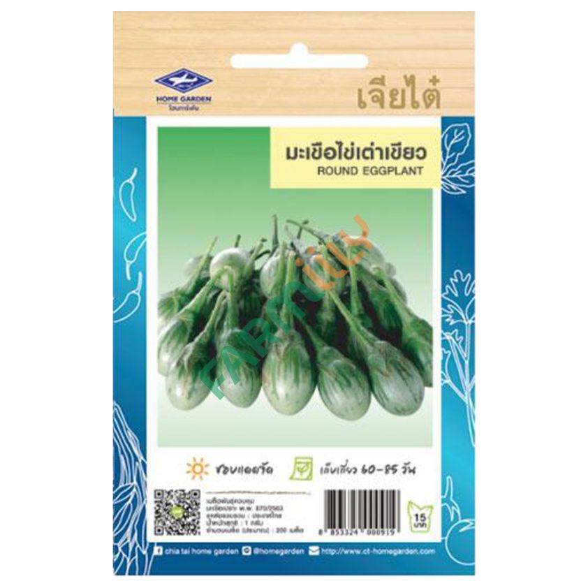 มะเขือไข่เต่า ตราเครื่องบิน เจียไต๋ ขนาด 5 กรัม (ซอง)