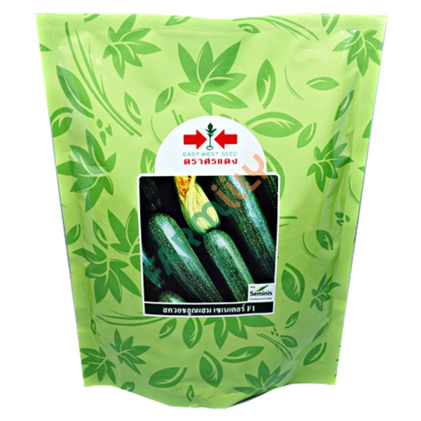 สควอชลูกผสม ตราศรแดง ขนาด 500 ก. (ถุง)