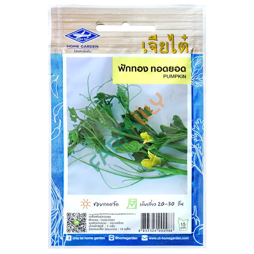 เมล็ดพันธุ์ฟักทอง ทอดยอด เมล็ดพันธุ์คุณภาพ ยี่ห้อ เจียไต๋ ขนาด 3 กรัม (ซอง)