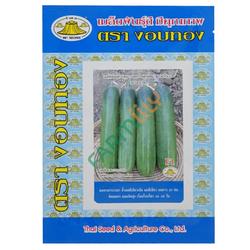 แตงร้านลูกผสม พันธุ์ซูเปอร์โนวา ตรางอบทอง ขนาด 10 กรัม (ซอง)