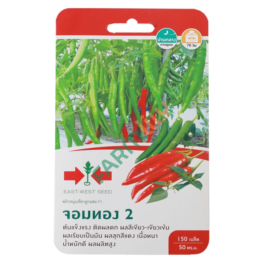 พริกหนุ่มเขียวลูกผสม F1 พันธุ์จอมทอง 2 ตราศรแดง ปริมาณ 150 เมล็ด (ซอง)