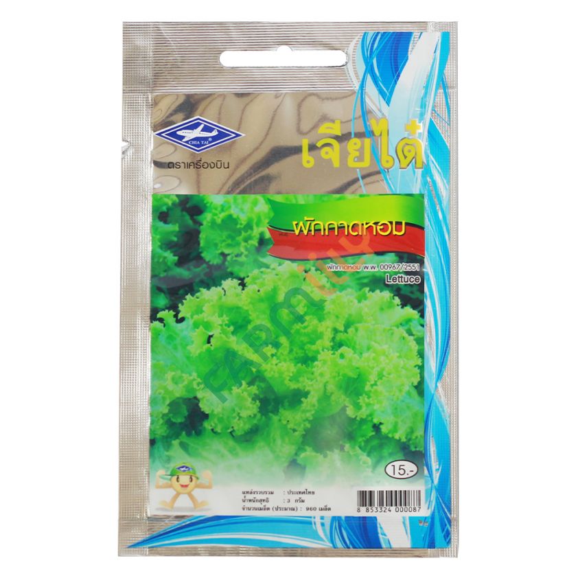 ผักกาดหอม ตราเครื่องบิน เจียไต๋ ขนาด 3 กรัม (ซอง)
