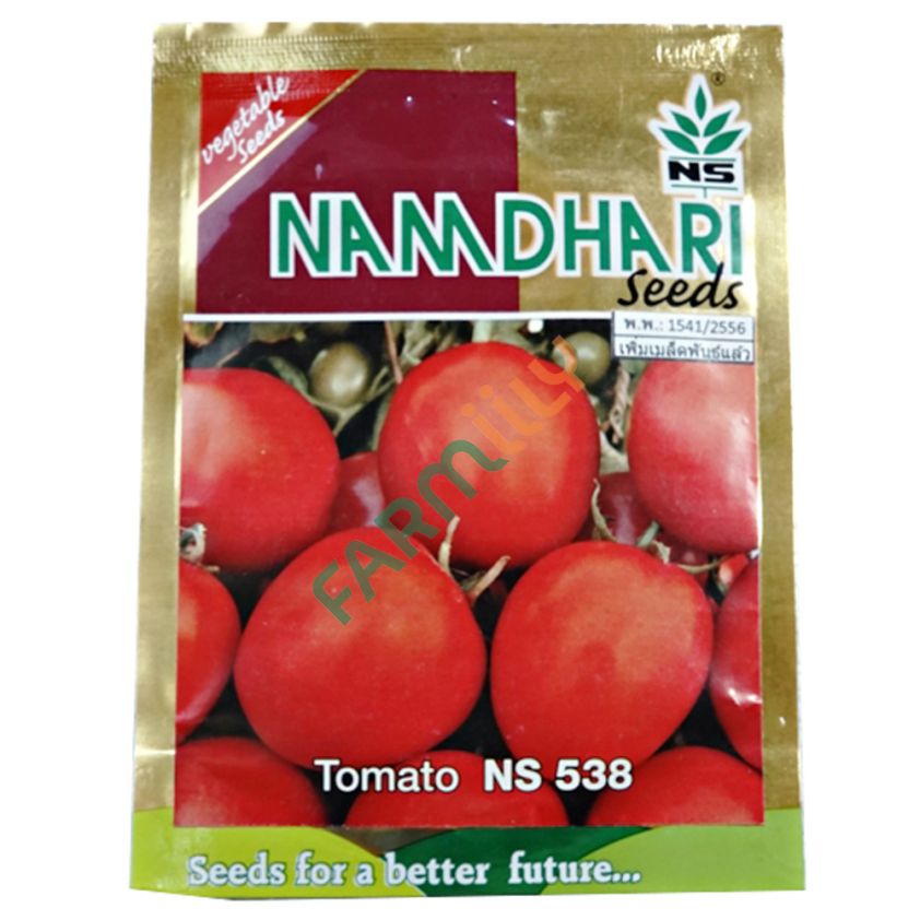 มะเขือเทศ นามธารี Tomato NS 538 (ซอง)